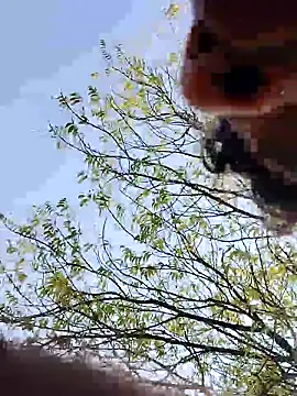 blackbeauty321 webcam