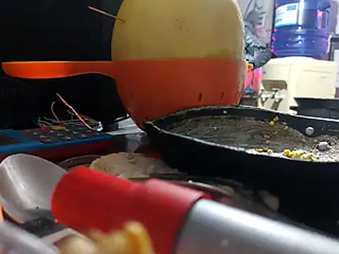 Gabrielamaturedirty webcam