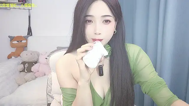 Augenstern_cat webcam