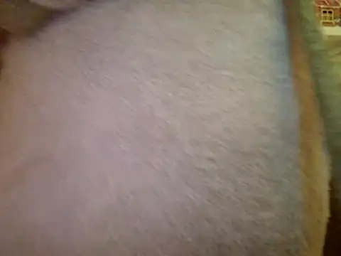 Samantha_Squirt@xh webcam