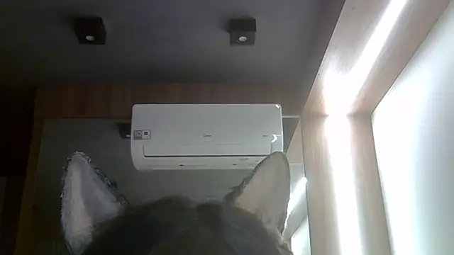 SkinnyKitten webcam