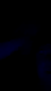 Booboo_kityfux webcam