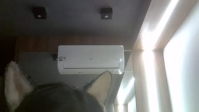 SkinnyKitten webcam
