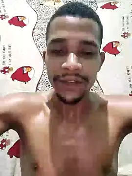 LATREL22ctmtrs webcam