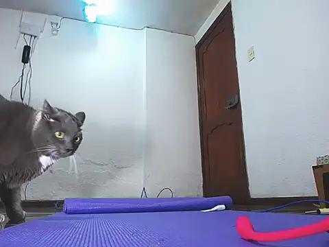 thomson_maxxi - Thomson_maxxi's free webcam