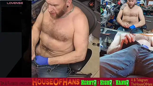 HouseOfHans webcam