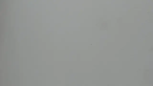 VioletRose_as webcam