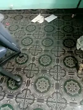 tamilansinsforu webcam