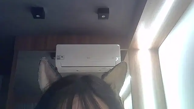 SkinnyKitten webcam