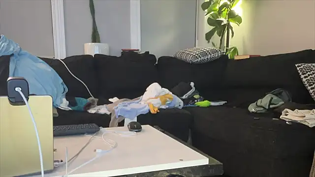 bestofdoseswirls webcam