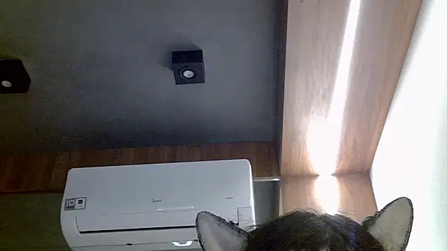 SkinnyKitten webcam