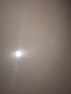 MichelleFerry_ webcam