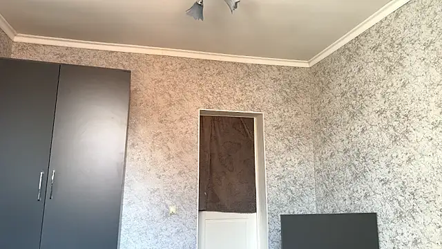 RegenaLandauer webcam