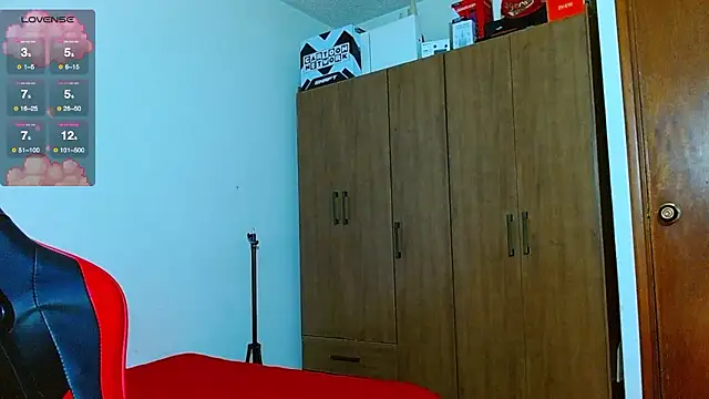 Hgp3riodictabl3 webcam