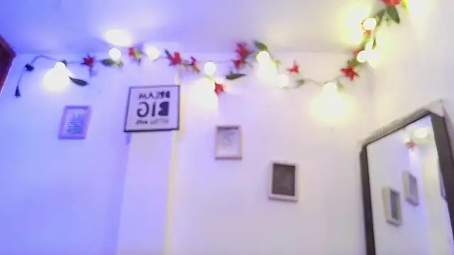 koning_moretti webcam