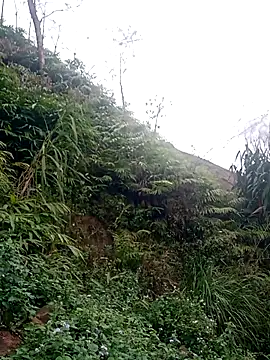 jackkk0011 - Jackkk0011's free webcam