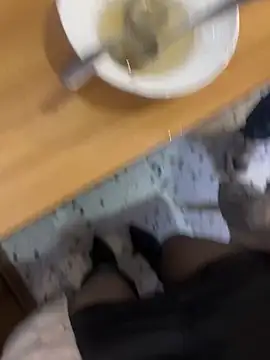 美女petoys在线直播