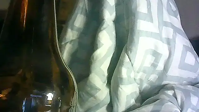 ON3YOULLN3VER_FIR3 webcam