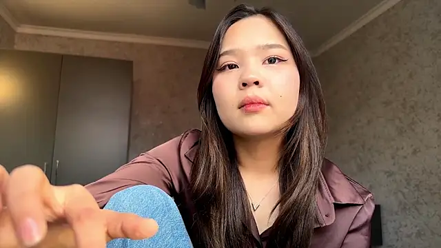 RegenaLandauer webcam