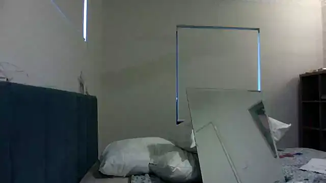 fireearthwaterair webcam