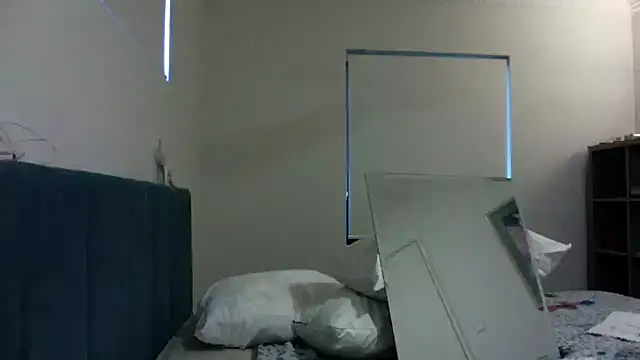 fireearthwaterair webcam