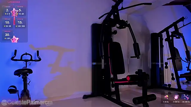 CelestePalmer_ webcam