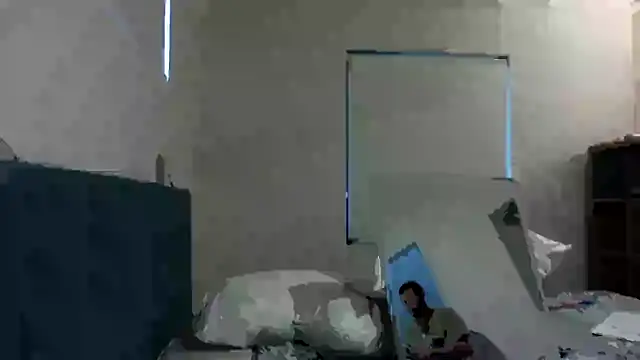 fireearthwaterair webcam