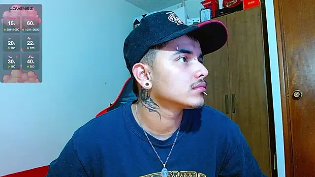 Hgp3riodictabl3 webcam