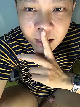 ArjunNguyen cam model