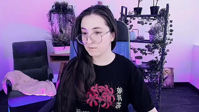 VirtuallVoyant webcam