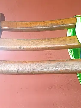 RaphinhaSanches webcam