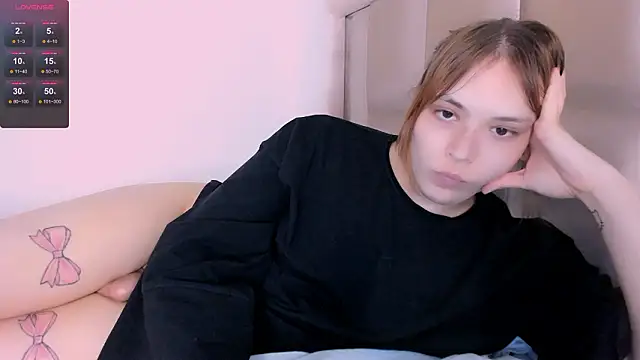 fem_to webcam