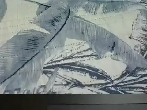 7_INCH_MONSTER webcam