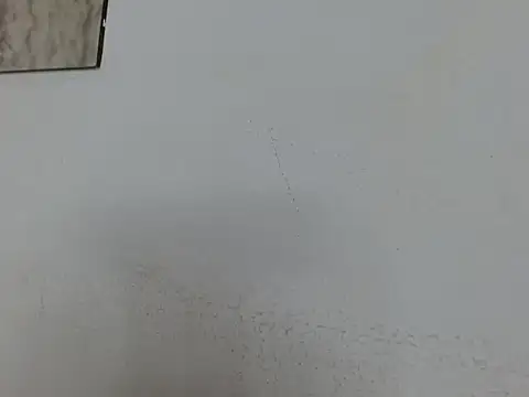 Ailanys_Miller webcam