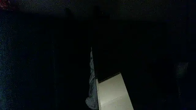 fireearthwaterair webcam