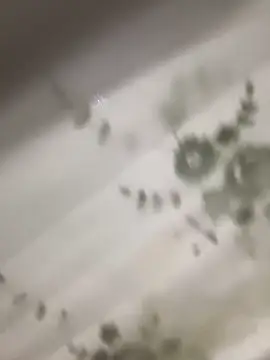 luckyyy888@xh webcam