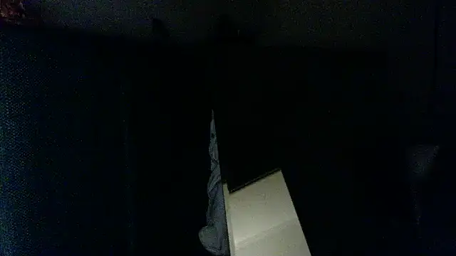 fireearthwaterair webcam