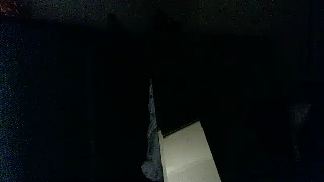 fireearthwaterair webcam