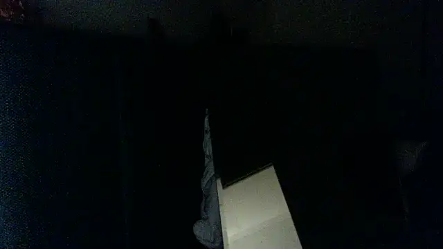 fireearthwaterair webcam