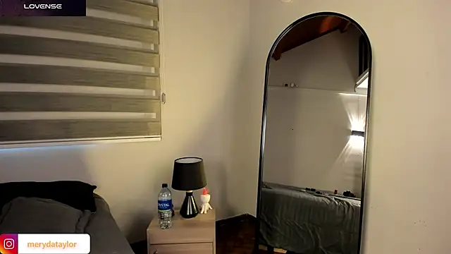 MERIDA_TAYLOR webcam