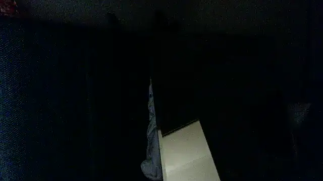 fireearthwaterair webcam