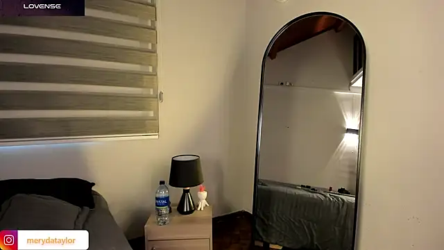 MERIDA_TAYLOR webcam