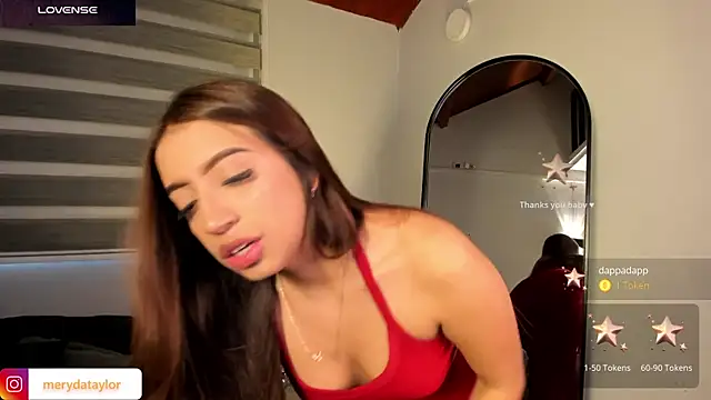 MERIDA_TAYLOR webcam