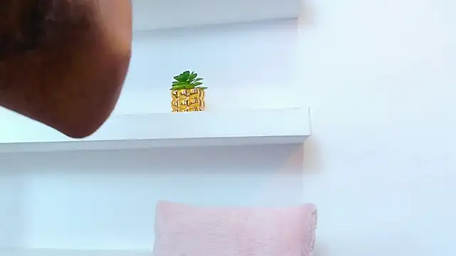 IsabellaMonet webcam