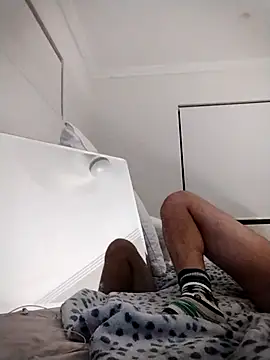 fireearthwaterair webcam