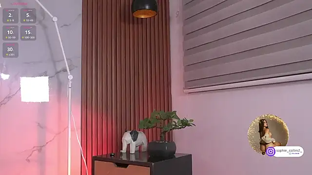 SophieCollins_1 webcam