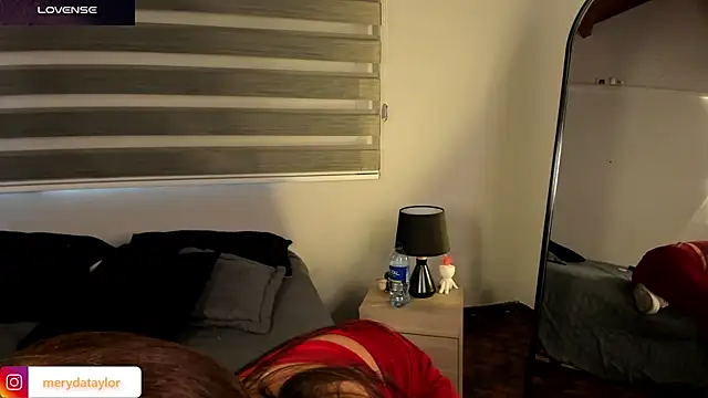 MERIDA_TAYLOR webcam