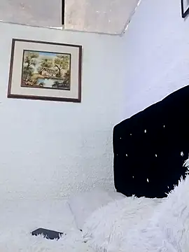 ElizabethWeil webcam