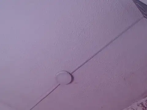 Ailanys_Miller webcam