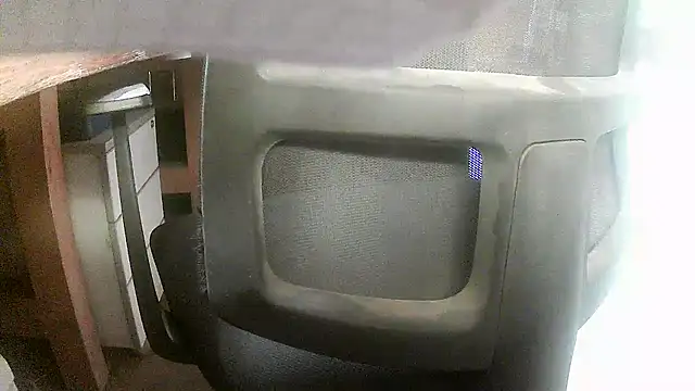 Cygnus58topchef webcam